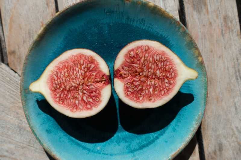 figs promote longevity