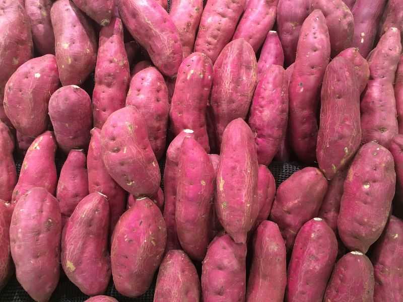 Sweet Potatoes is one of the foods to eat to live longer