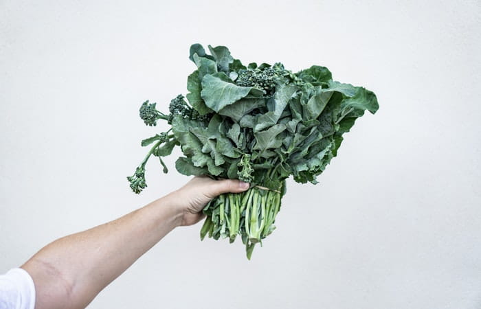 Hand holding Kale - one of the top Vitamin K sources