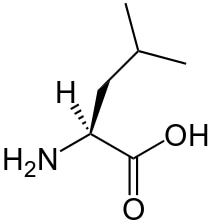 Chemical structure of L-leucine, shown as non-charged molecule