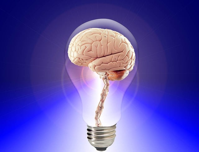 An Illustration of a brain in a light bulb