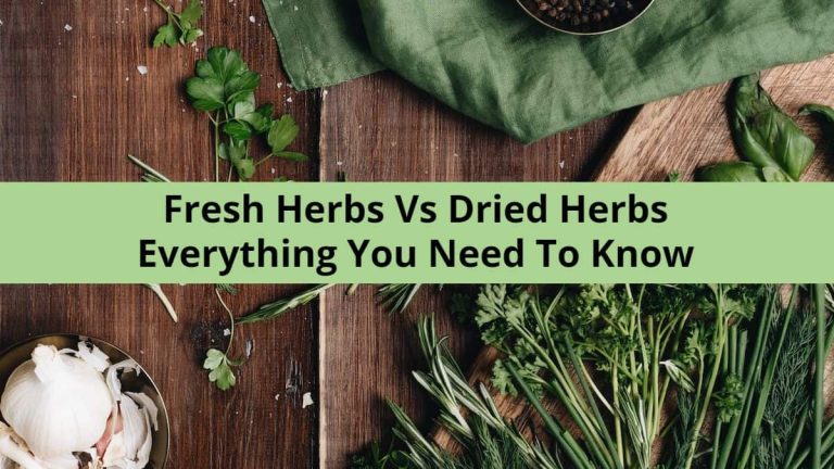 Fresh herbs vs dried herbs: Everything You Need To Know