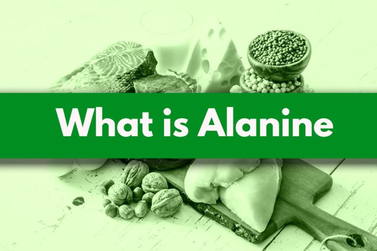 what is alanine