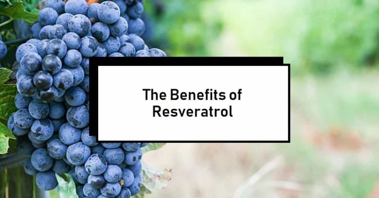 Trans-Resveratrol: A Potent Antioxidant and Anti-Aging Supplement