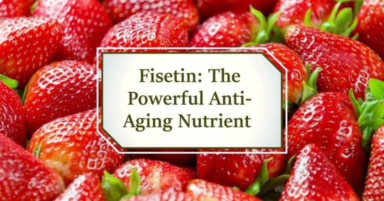 What is Fisetin? Fisetin Benefits, Bioavailability, Food Sources